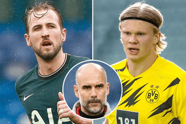 理的法律法 理的法律法